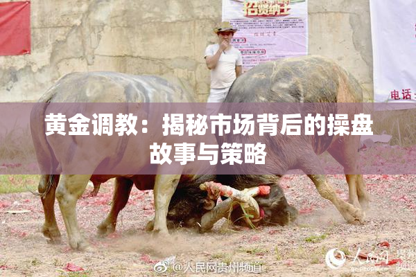 黄金调教：揭秘市场背后的操盘故事与策略