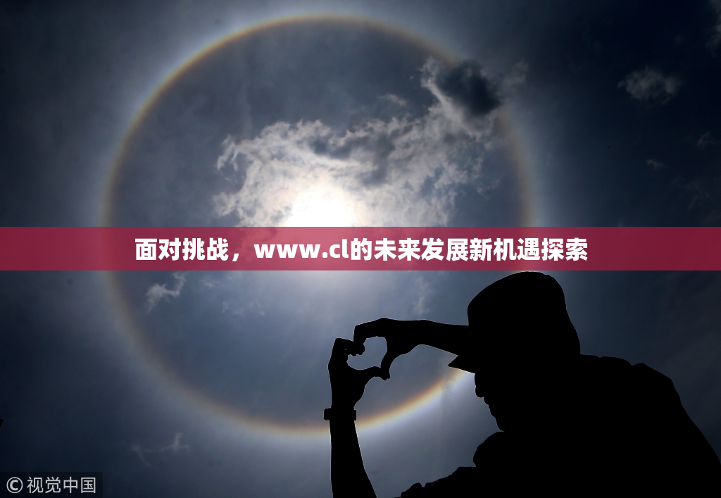 面对挑战，www.cl的未来发展新机遇探索