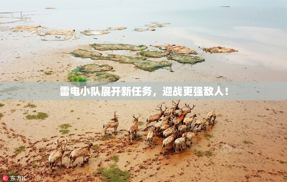 雷电小队展开新任务，迎战更强敌人！