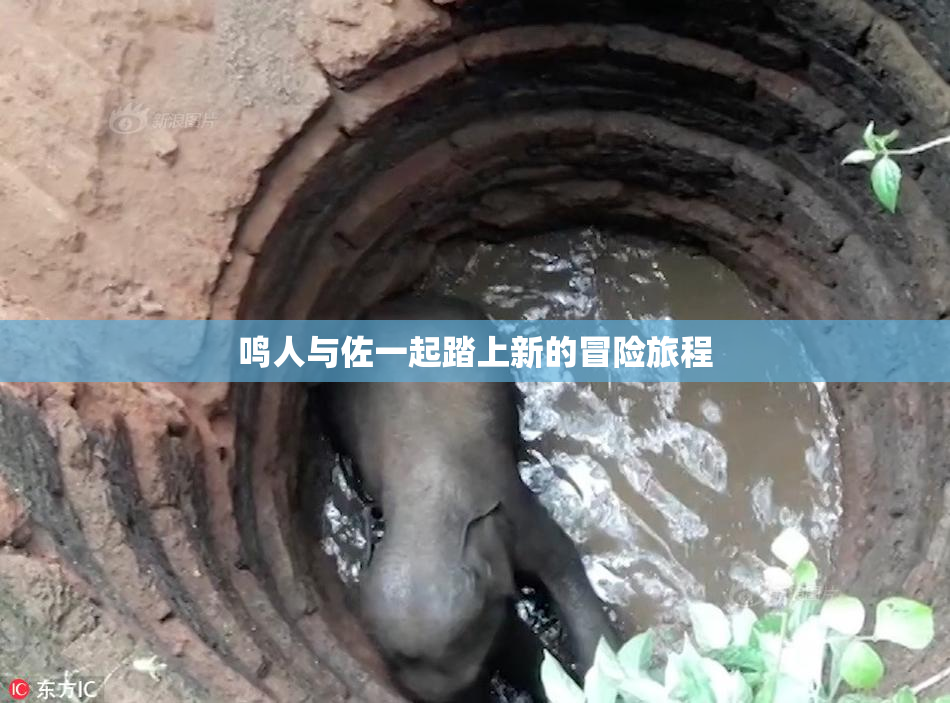 鸣人与佐一起踏上新的冒险旅程