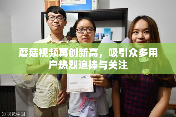 蘑菇视频再创新高，吸引众多用户热烈追捧与关注