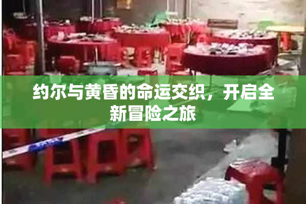 约尔与黄昏的命运交织，开启全新冒险之旅