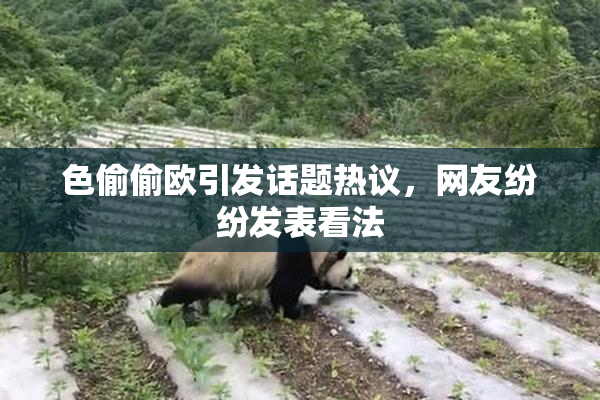 色偷偷欧引发话题热议，网友纷纷发表看法