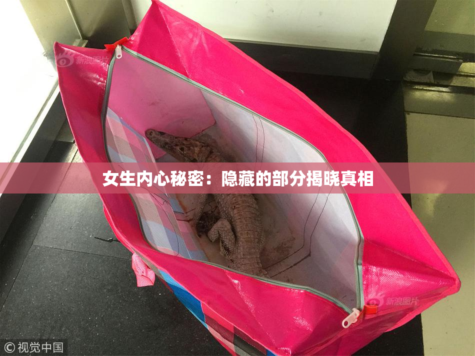 女生内心秘密：隐藏的部分揭晓真相