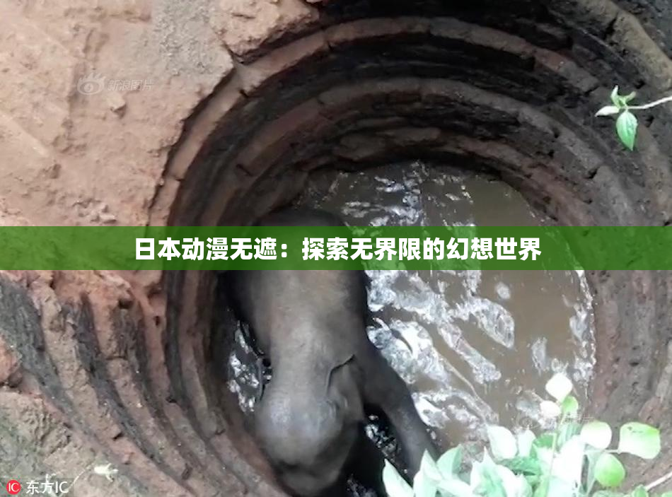 日本动漫无遮：探索无界限的幻想世界