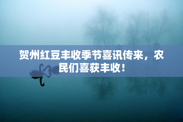 贺州红豆丰收季节喜讯传来，农民们喜获丰收！