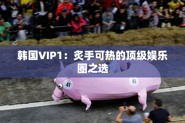 韩国VIP1：炙手可热的顶级娱乐圈之选