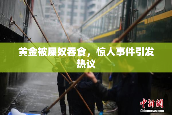 黄金被屎奴吞食，惊人事件引发热议