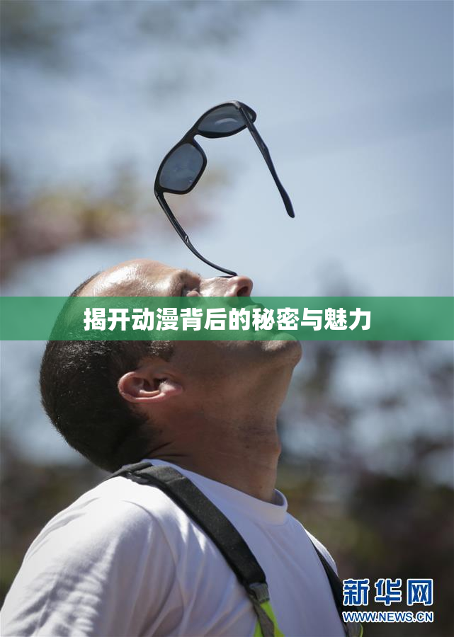揭开动漫背后的秘密与魅力