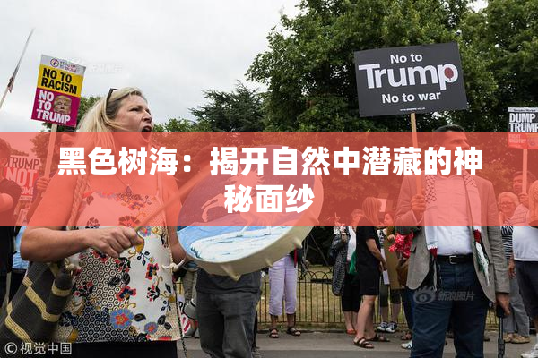 黑色树海：揭开自然中潜藏的神秘面纱