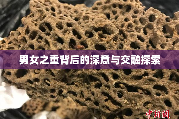 男女之重背后的深意与交融探索