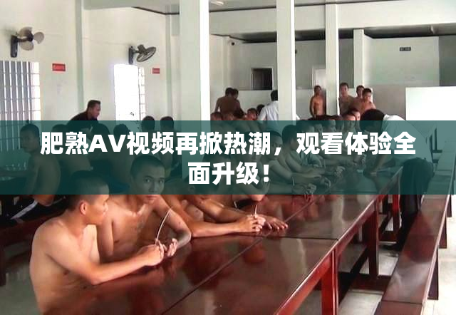 肥熟AV视频再掀热潮，观看体验全面升级！