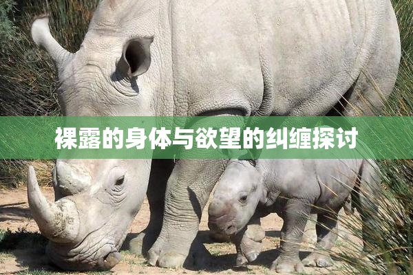 裸露的身体与欲望的纠缠探讨