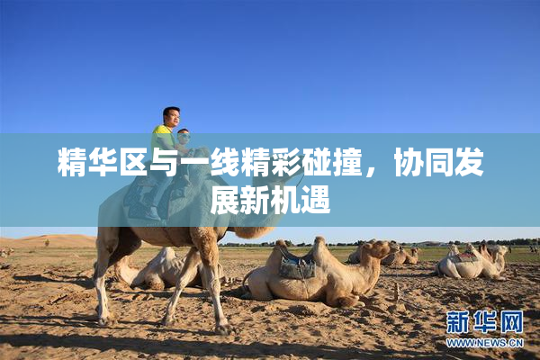 精华区与一线精彩碰撞，协同发展新机遇