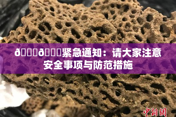 🔞🔞紧急通知：请大家注意安全事项与防范措施