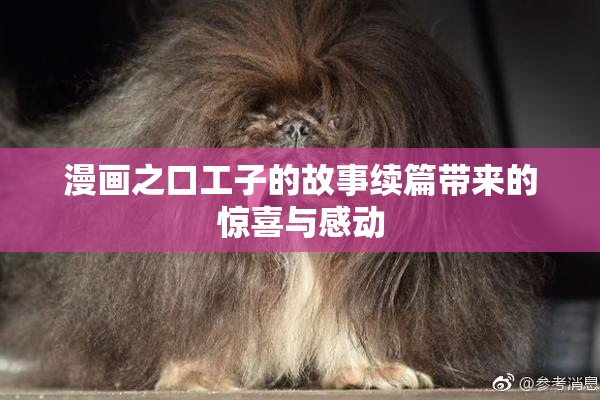 漫画之口工子的故事续篇带来的惊喜与感动