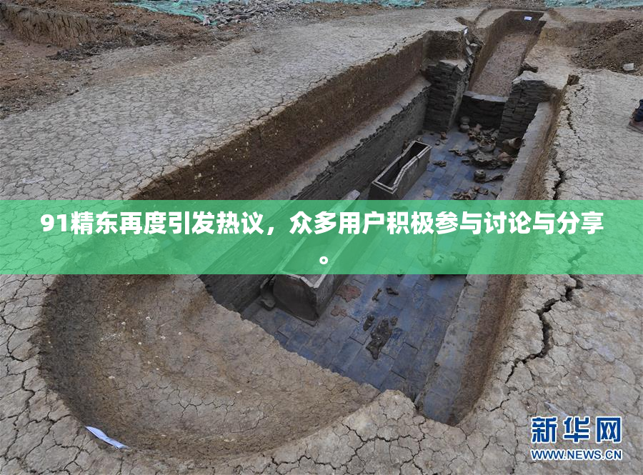 91精东再度引发热议，众多用户积极参与讨论与分享。
