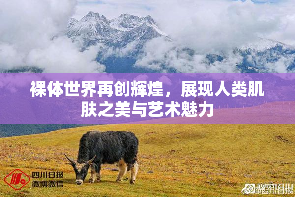 裸体世界再创辉煌，展现人类肌肤之美与艺术魅力