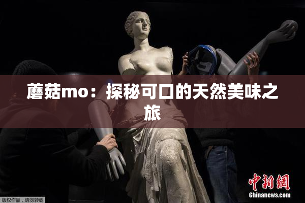 蘑菇mo：探秘可口的天然美味之旅