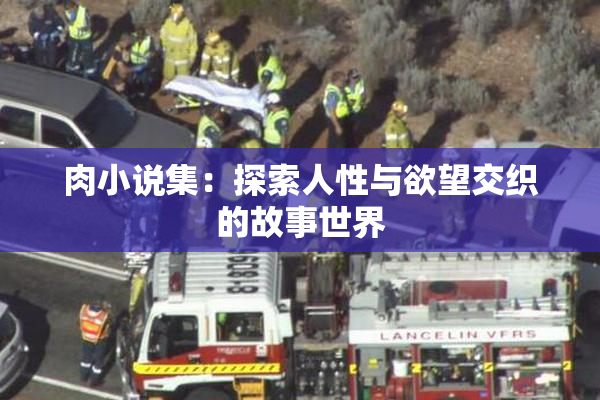 肉小说集：探索人性与欲望交织的故事世界