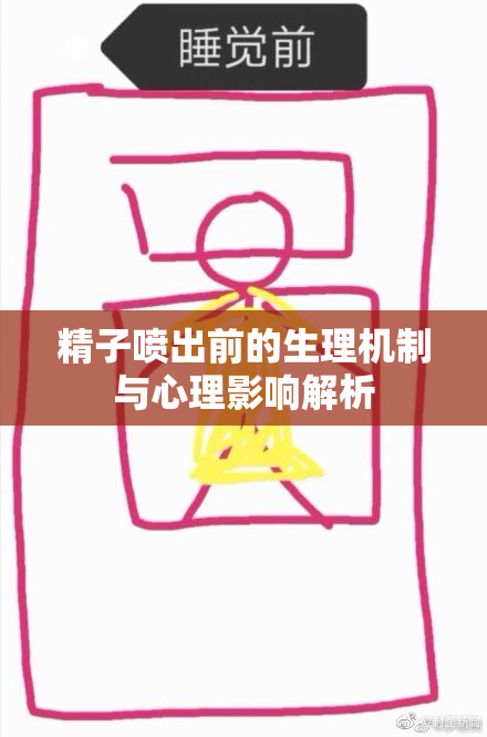 精子喷出前的生理机制与心理影响解析