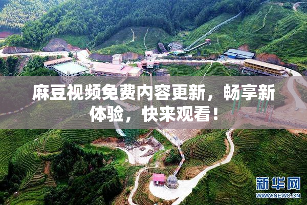 麻豆视频免费内容更新，畅享新体验，快来观看！