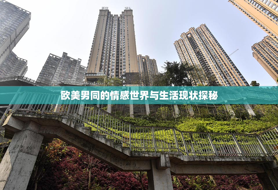 欧美男同的情感世界与生活现状探秘