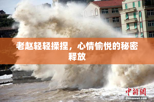 老赵轻轻揉捏，心情愉悦的秘密释放