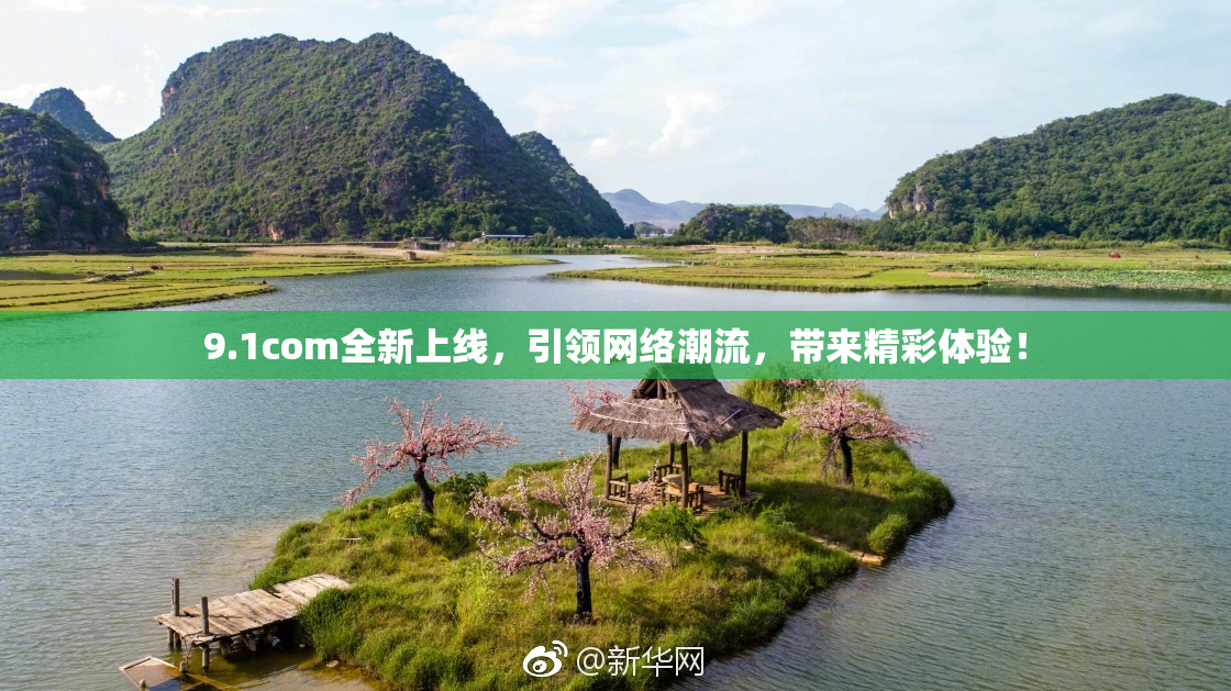 9.1com全新上线，引领网络潮流，带来精彩体验！