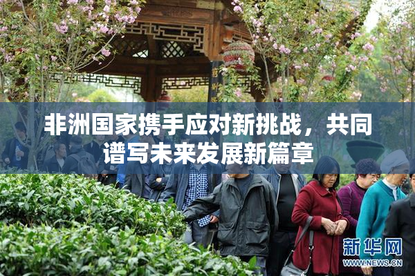 非洲国家携手应对新挑战，共同谱写未来发展新篇章