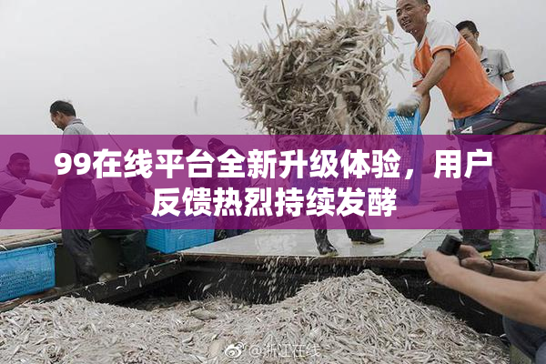 99在线平台全新升级体验，用户反馈热烈持续发酵