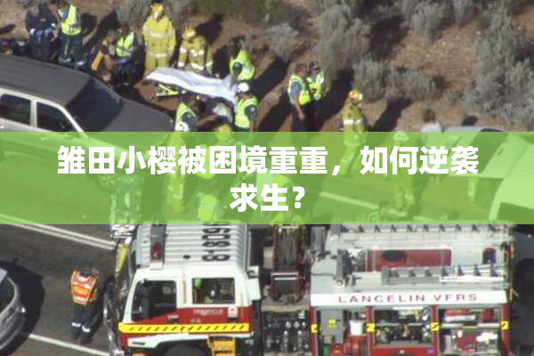 雏田小樱被困境重重，如何逆袭求生？