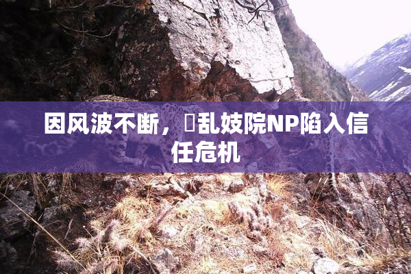 因风波不断，婬乱妓院NP陷入信任危机