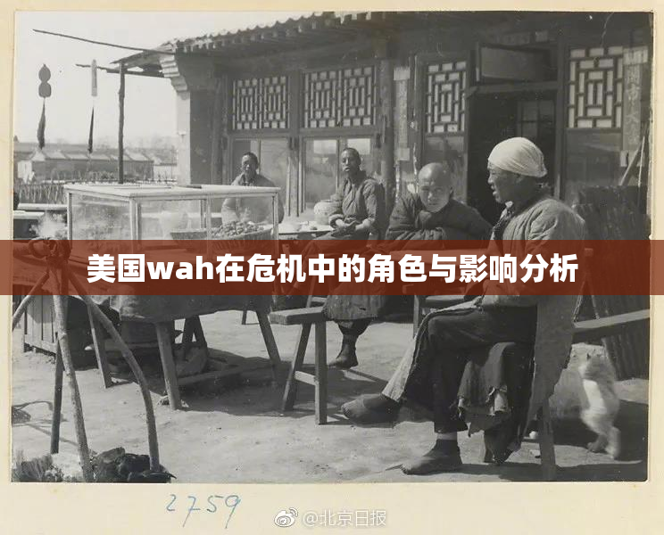 美国wah在危机中的角色与影响分析