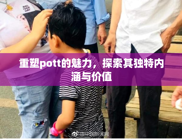 重塑pott的魅力，探索其独特内涵与价值