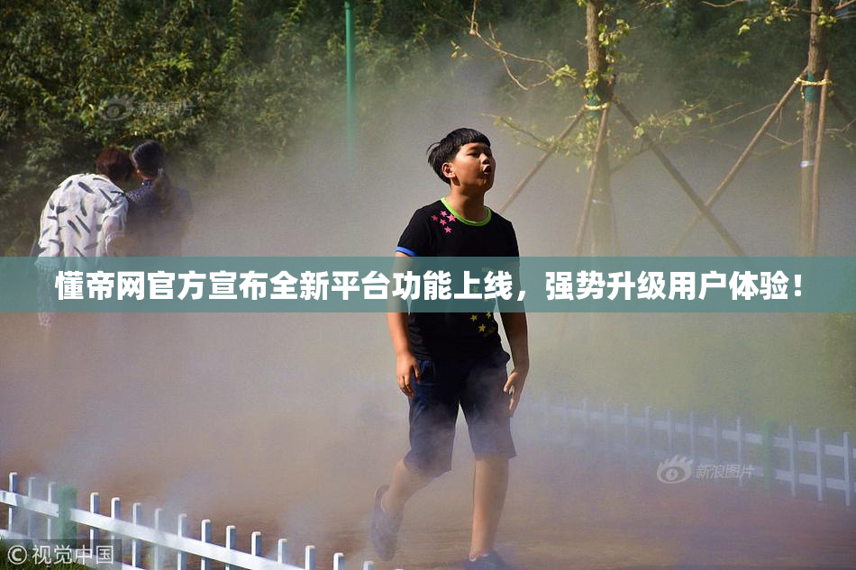 懂帝网官方宣布全新平台功能上线，强势升级用户体验！