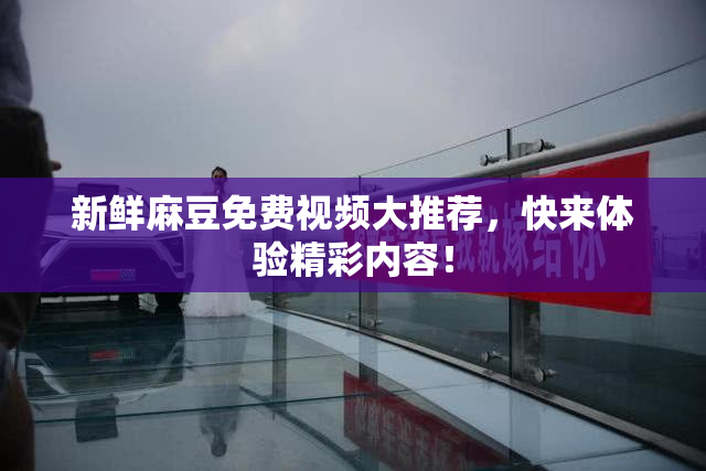 新鲜麻豆免费视频大推荐，快来体验精彩内容！