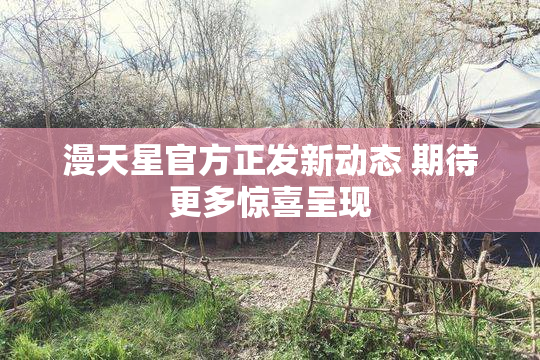 漫天星官方正发新动态 期待更多惊喜呈现