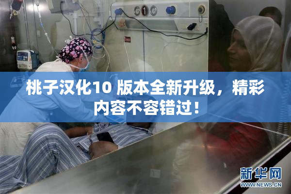 桃子汉化10 版本全新升级，精彩内容不容错过！