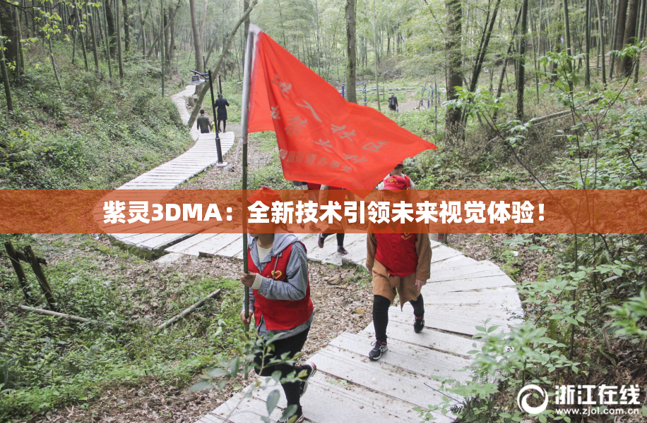 紫灵3DMA：全新技术引领未来视觉体验！