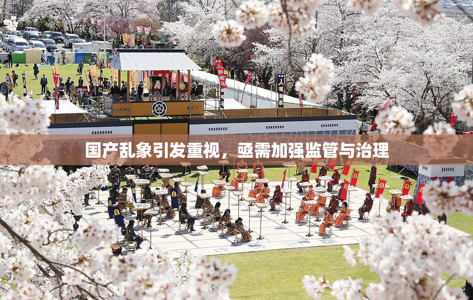 国产乱象引发重视，亟需加强监管与治理