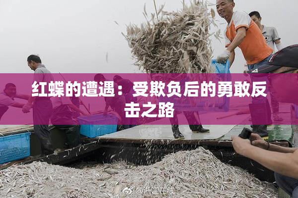 红蝶的遭遇：受欺负后的勇敢反击之路