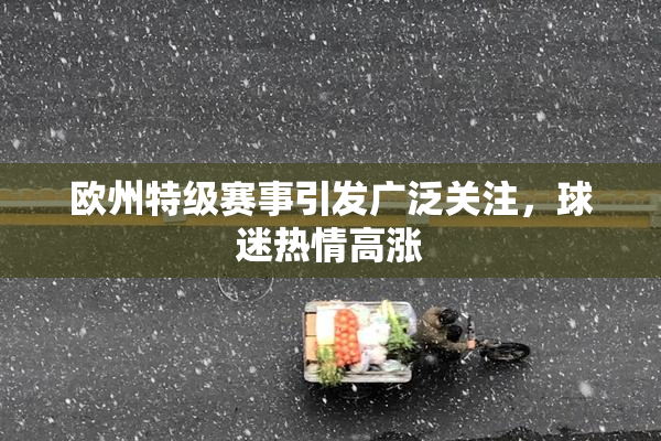 欧州特级赛事引发广泛关注，球迷热情高涨