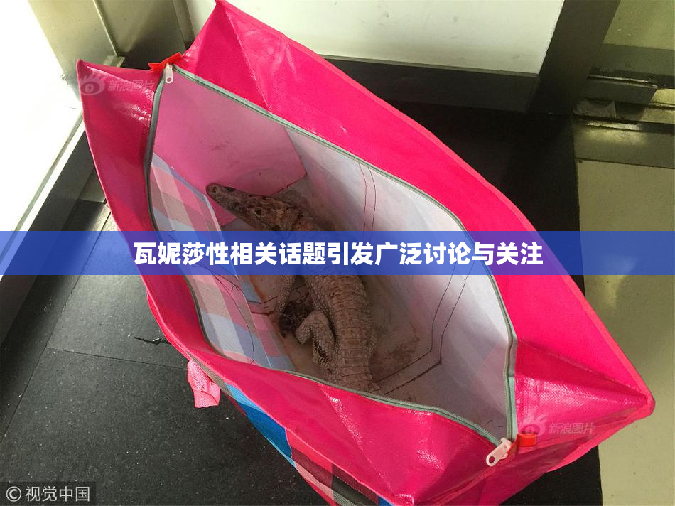 瓦妮莎性相关话题引发广泛讨论与关注