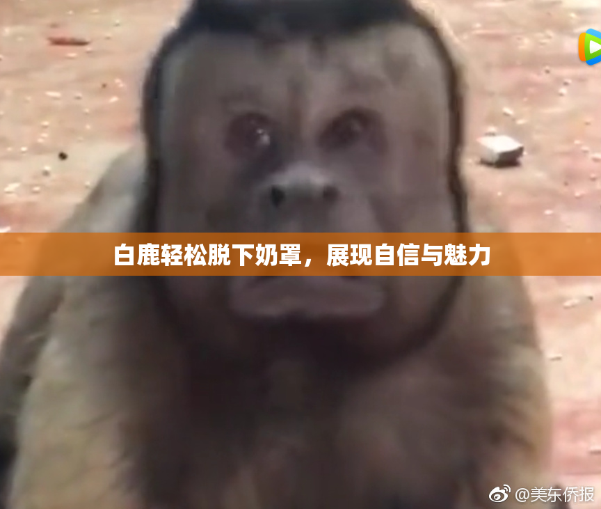 白鹿轻松脱下奶罩，展现自信与魅力