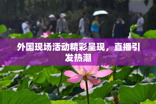 外国现场活动精彩呈现，直播引发热潮