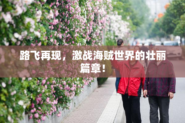 路飞再现，激战海贼世界的壮丽篇章！