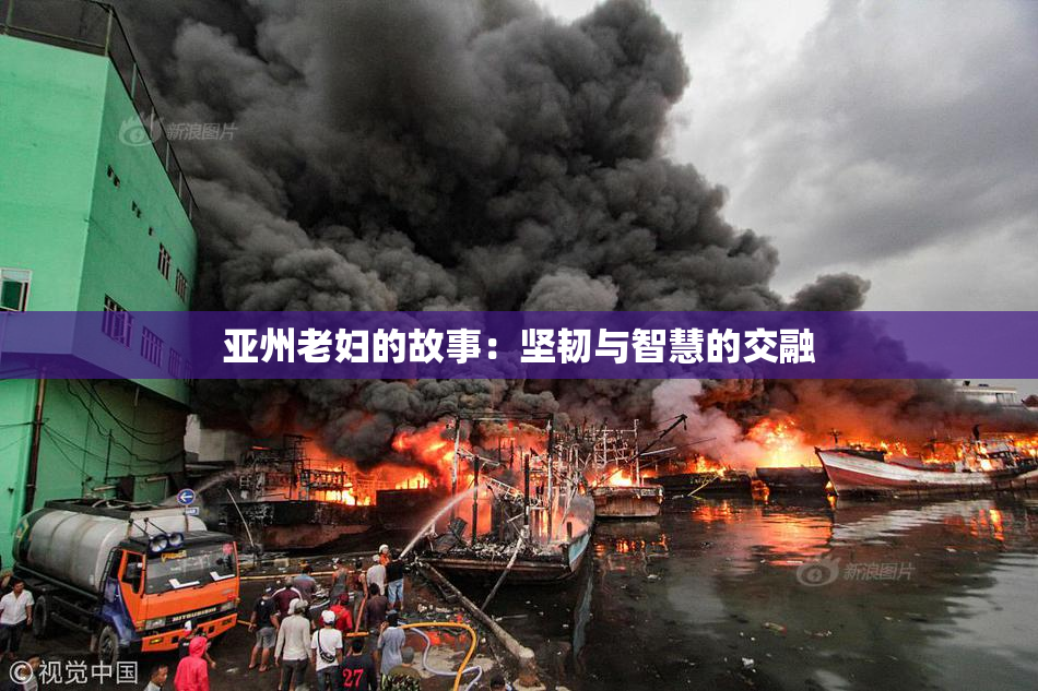 亚州老妇的故事：坚韧与智慧的交融