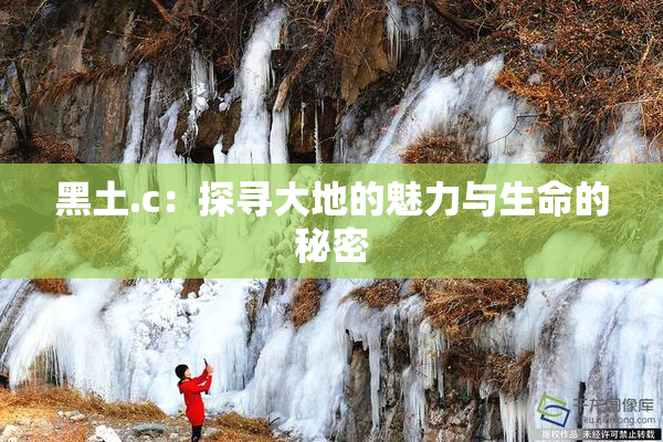 黑土.c：探寻大地的魅力与生命的秘密
