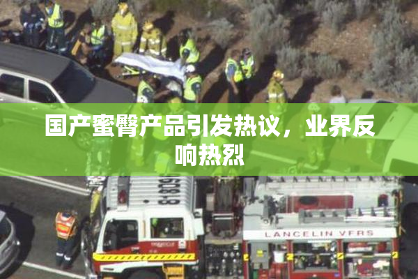 国产蜜臀产品引发热议，业界反响热烈